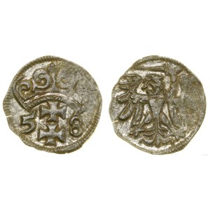 Polska, denar, 1558, Gdańsk