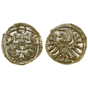 Polen, Denar, 1555, Elbląg
