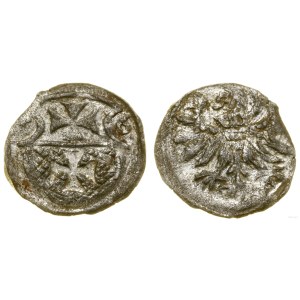 Polen, Denar, 1556, Elbląg