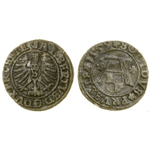 Duchy of Prussia (1525–1657), shilling, 1559, Königsberg