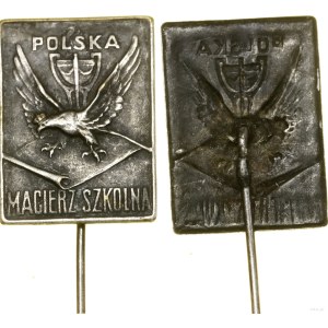 Poland, Polish School Society - badge