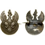 Poland, a military eagle-shaped pin