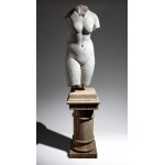 Bust of Venus - 19th century