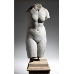 Bust of Venus - 19th century