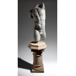 Male Torso in Marble - Late 19th century-early 20th century