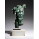 Bronze bust of a male torso - 20th century