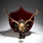 Pair of hunting-style wall sconces - Germany, late 19th century-early 20th century