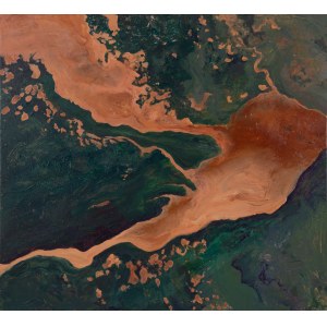 Bożena Zajiczek-Panuś, Earth View 05: Kongo, 2026
