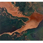 Bożena Zajiczek-Panuś, Earth View 05: Congo, 2026