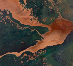 Bożena Zajiczek-Panuś, Earth View 05: Kongo, 2026