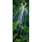 Beata Mura, Oddech lasu XXXVII, 2026