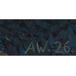 Adam Wojciechowski (né en 1971 à Ostrowiec Świętokrzyski), « My spaces 2.08 », 2026
