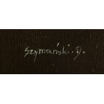 Dawid Szymański (b. 1989, Poniatowa), Confessions, 2026
