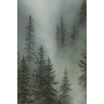 Marta Borowczyk (geb. 1988 in Leszno), „Zwei Tage im Wald“, 2026