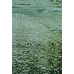 Jagoda Kaczmarczyk-Hudzik (née en 1966 à Cracovie), « Paysage de la Vistule CXXXVIII/138 », 2026