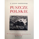 F.A. Ossendowski - Polish Forests [Wonders of Poland Series], Poznań 1936