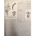 Orgelbrand's Universal Encyclopedia, Volume XI, from the letter O to Polonus [561 illustrations and 6 maps], Warsaw 1901 [maps, coats of arms, botany, zoology]