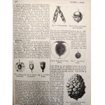 Orgelbrand's Universal Encyclopedia, Volume XI, from the letter O to Polonus [561 illustrations and 6 maps], Warsaw 1901 [maps, coats of arms, botany, zoology]