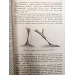 The World and Man - The Development of Economic Relations by L. Krzywicki. Social Development Among Animals and the Human Race by L. Krzywicki. The Development of Mental Life by A. Mahrburg and J. Kodisowa. The Development of Morality by L. Krzywicki. The