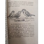 Sokołowski Jan - Wróbel - Warszawa 1948 [ ptaki , ornitologia ]