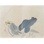 Kawabata Gyokusho (1842–1913), Firefly and Water Lily, from the series: One Hundred Motifs for Learning Painting, published by Yoshikawa Hanshichi, Tokyo, Japan, 1898.