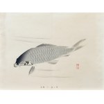 Kawabata Gyokusho (1842–1913), *Carp*, from the series *One Hundred Motifs for Learning Painting*, published by Yoshikawa Hanshichi, Tokyo, Japan, 1898.