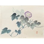 Kawabata Gyokusho (1842–1913), "Purple Wile," from the series *One Hundred Motifs for Learning Painting*, published by Yoshikawa Hanshichi, Tokyo, Japan, 1898.
