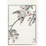 Kōno Bairei (1844–1895), *On a Blooming Branch*, published by Ōkura Magobei, Tokyo, Japan, 1881.