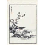 Kōno Bairei (1844–1895), *Pliszka*, published by Ōkura Magobei, Tokyo, Japan, 1881.