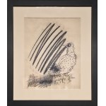 Franciszek Starowieyski, Untitled, 1981