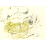 Henriette Dora Markovitch, Dora Maar (1907–1997), Krajina v Provence, 1996