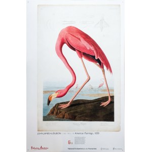 Picturing America, Laminované plakáty, 2008