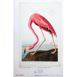 Picturing America, Laminated Posters, 2008