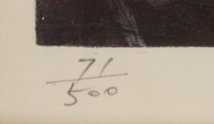 Nobuyuki Shimizu (ur. 1950), Czerwona Góra Fuji