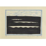 Takashi Ohno (ur. 1951), Woda, 1991