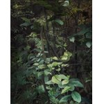 Natalia Rybka, *Inherencja*, 2016