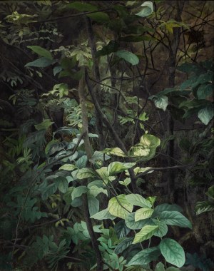 Natalia Rybka, Inherencja, 2016