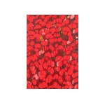 Joanna Mieszko, Red Poppies, 2025