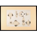 Zdzisław STANEK (1925–1996), "Light Forms," 1970s