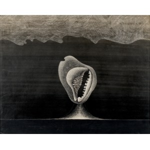 Zdzisław STANEK (1925–1996), Světelná forma kamene, 1969