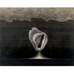 Zdzisław STANEK (1925–1996), *Light Form of Stone*, 1969