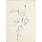 Zdzisław STANEK (1925–1996), Study of the Bladderwort