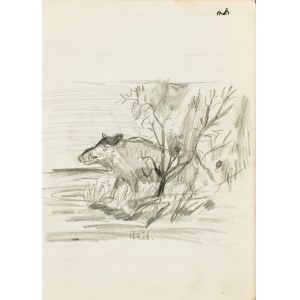 Ludwik MACIĄG (1920–2007), Wild Boar
