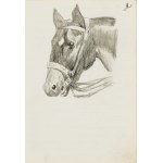 Ludwik MACIĄG (1920–2007), Horse