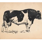 Ludwik MACIĄG (1920–2007), Cow
