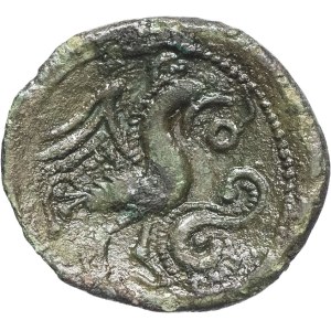 Bellovaques. Bronze coin featuring a rooster and a helmeted head, undated (second third of the 1st century B.C. and the Gallic Wars).