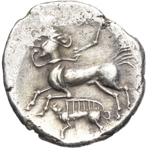 Riedones. Stater with a wild boar, Class I based on the decoration on the cheek, var. 2 ND (2nd–1st century B.C.).