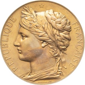 MEDALS - France, Third Republic (1870–1940). Medal awarded at the International Exposition in Paris, designed by J.-C. Chaplain, 1878, Paris.