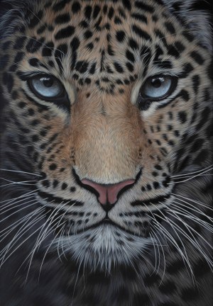 Paulina Wróblewska (ur. 1991), Dare me, 2026