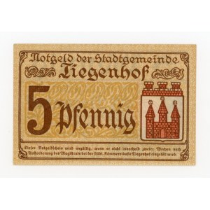 Nowy Dwór Gdański/Tiegenhof, 5 fenigs, 1920 (727)